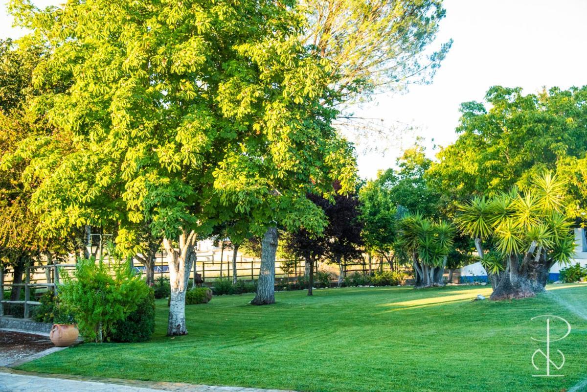 Quinta Do Poco Novo Villa Alcáçovas Eksteriør billede